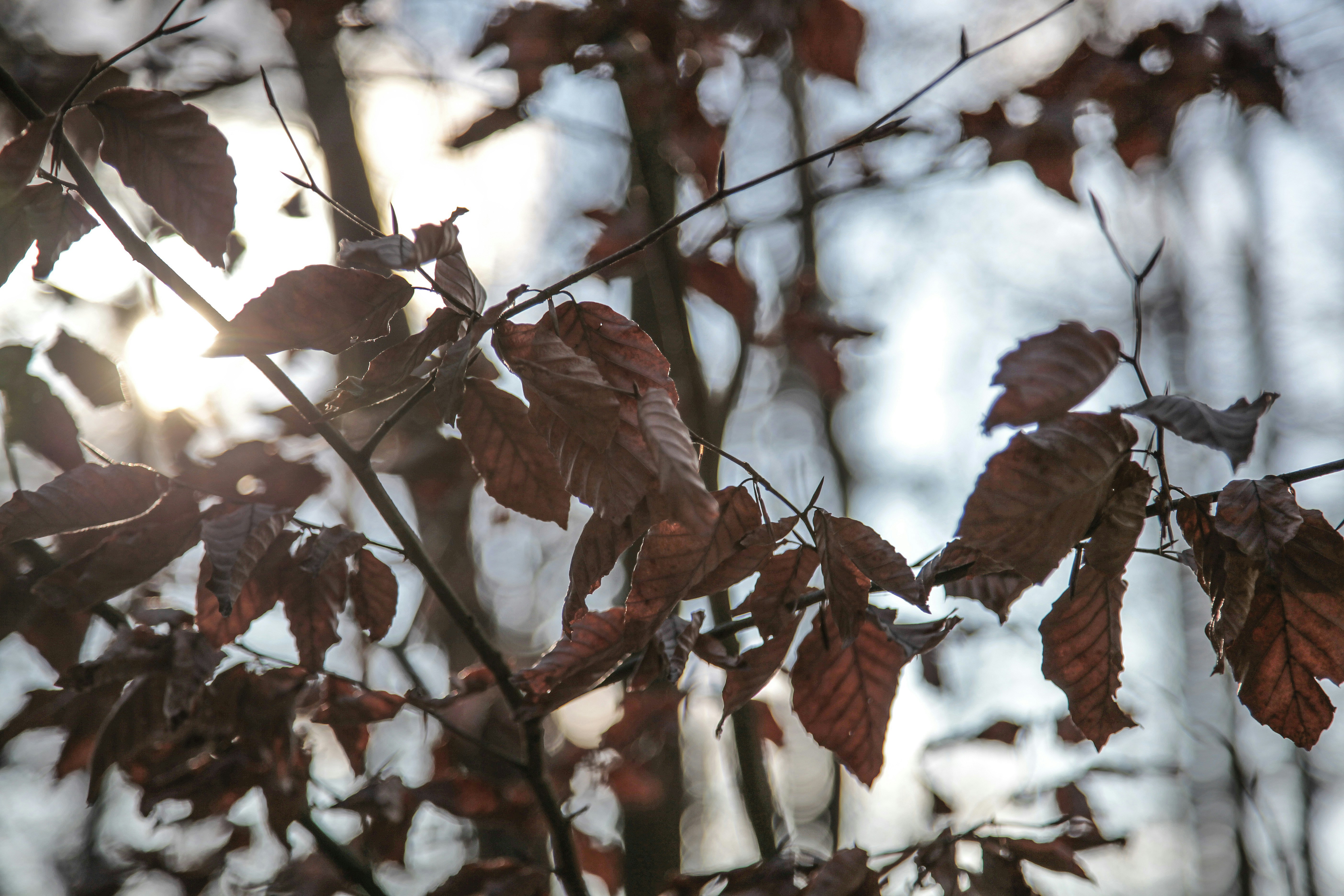 Photo by quadratmedia