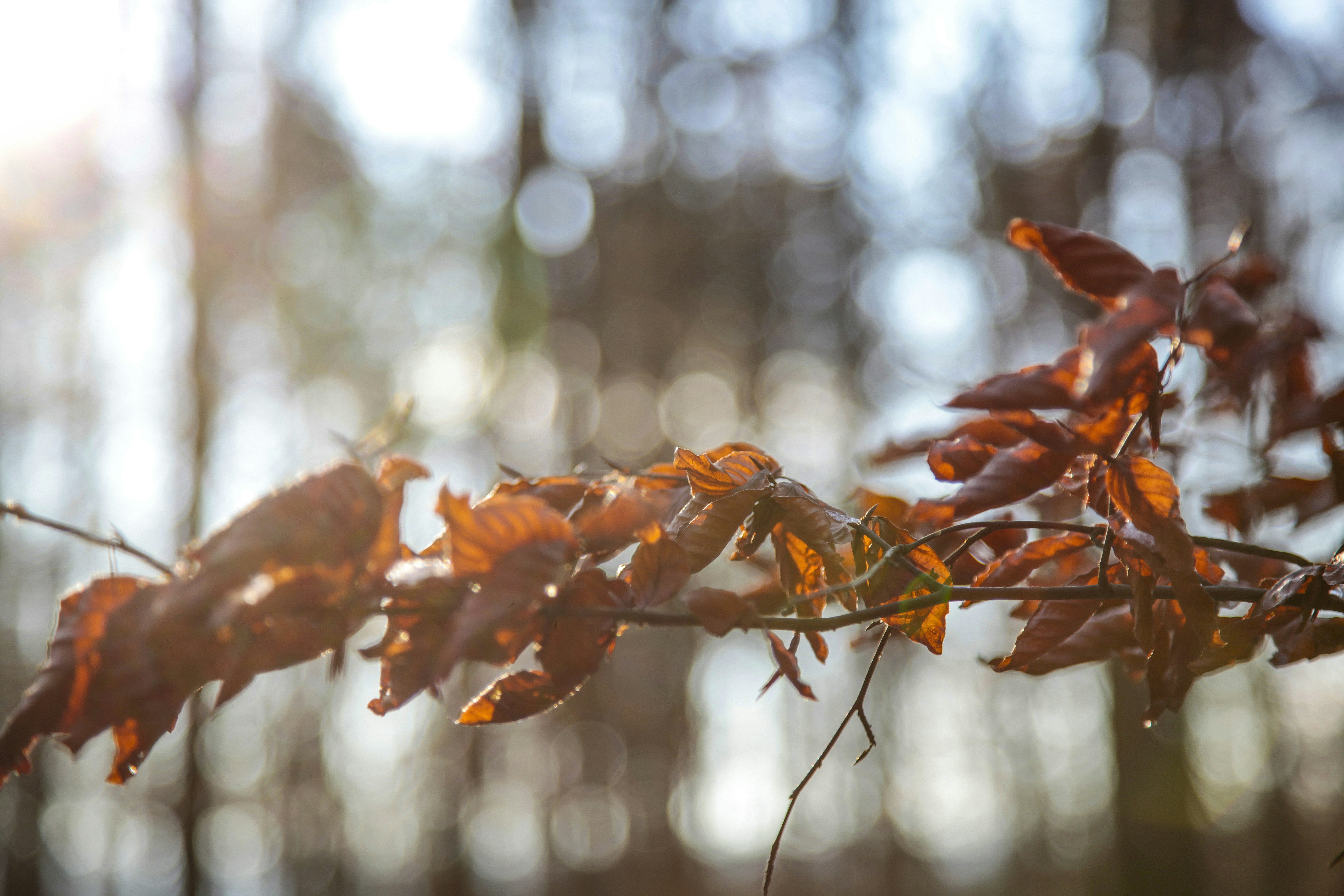 Photo by quadratmedia