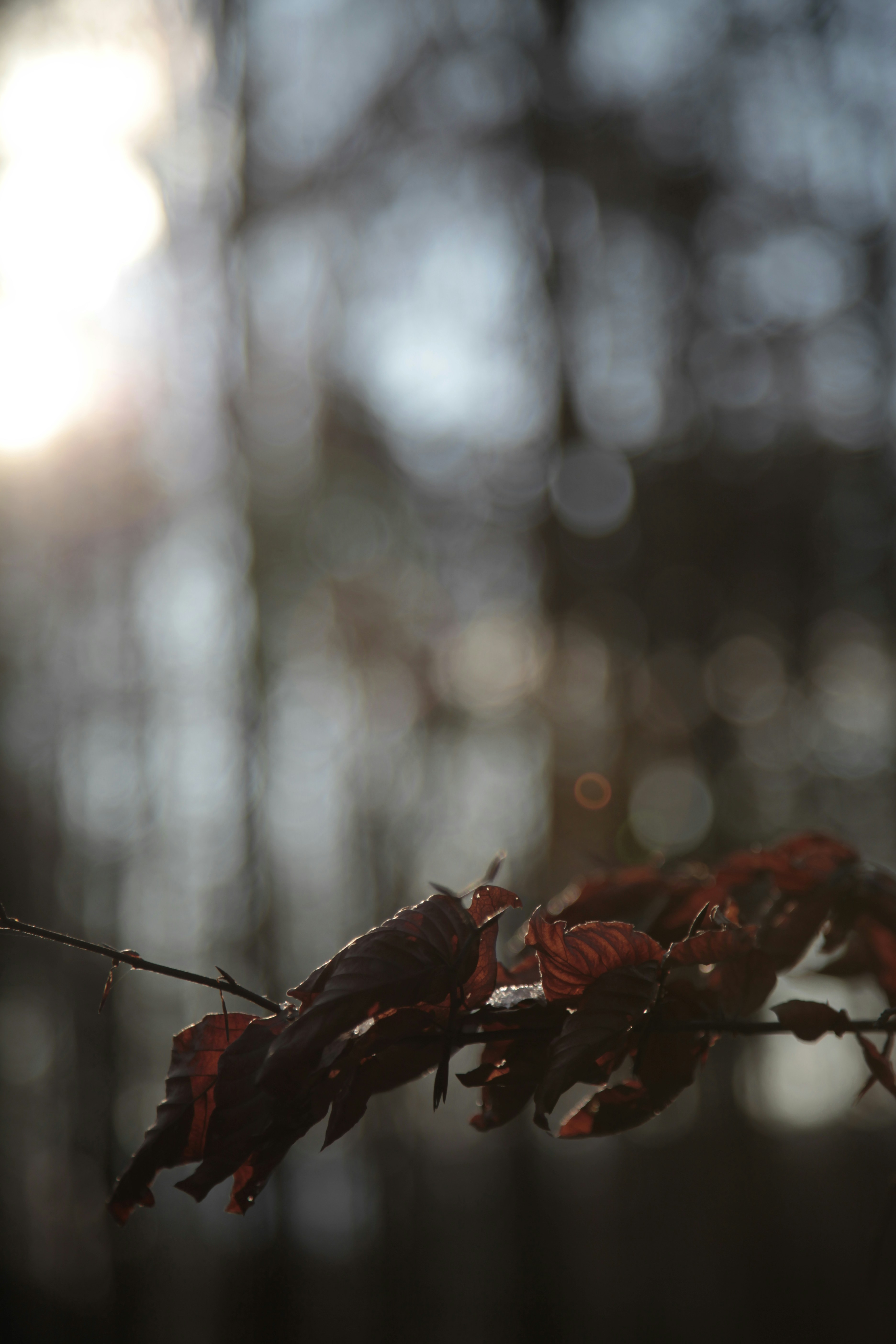 Photo by quadratmedia