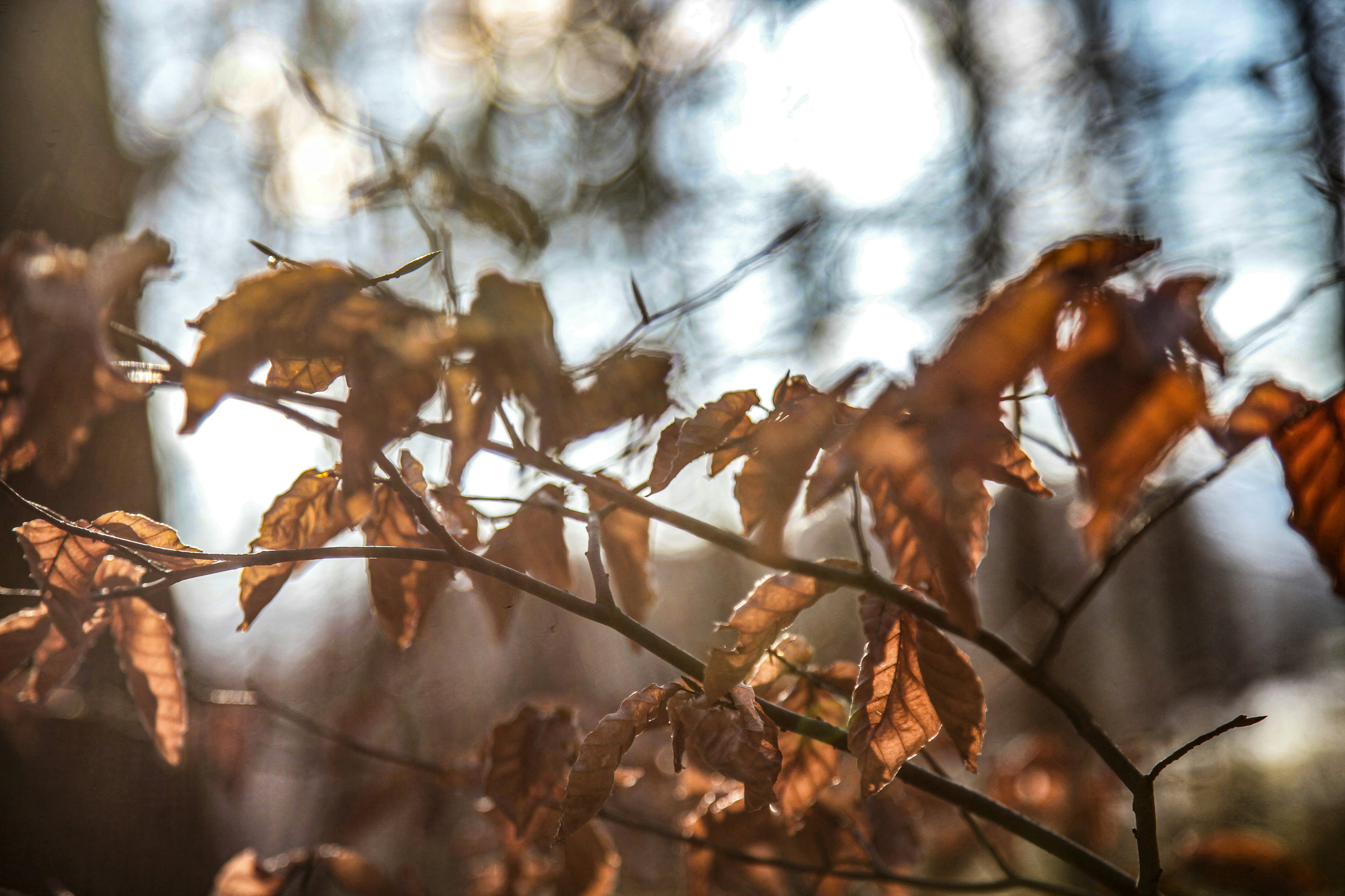 Photo by quadratmedia