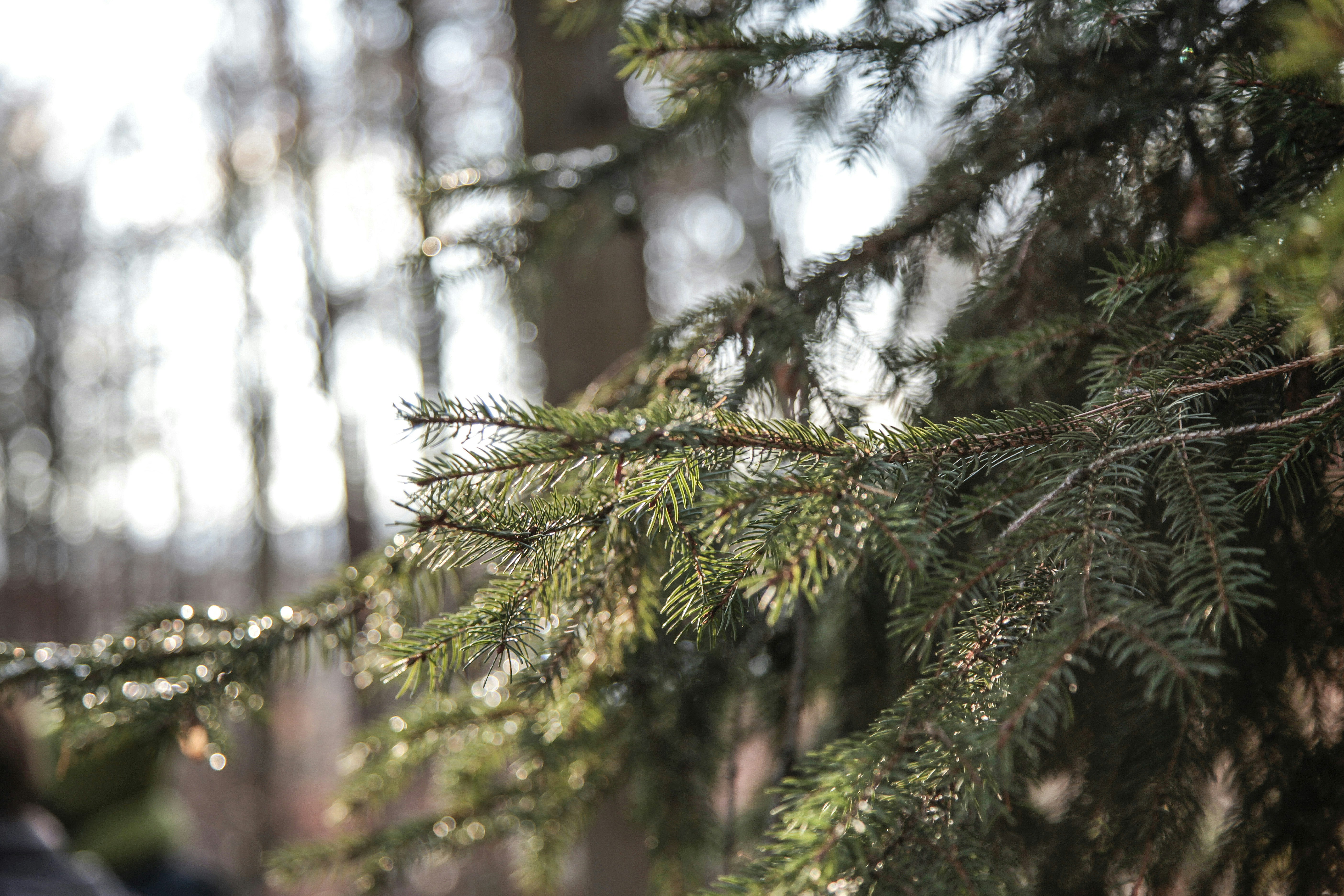 Photo by quadratmedia