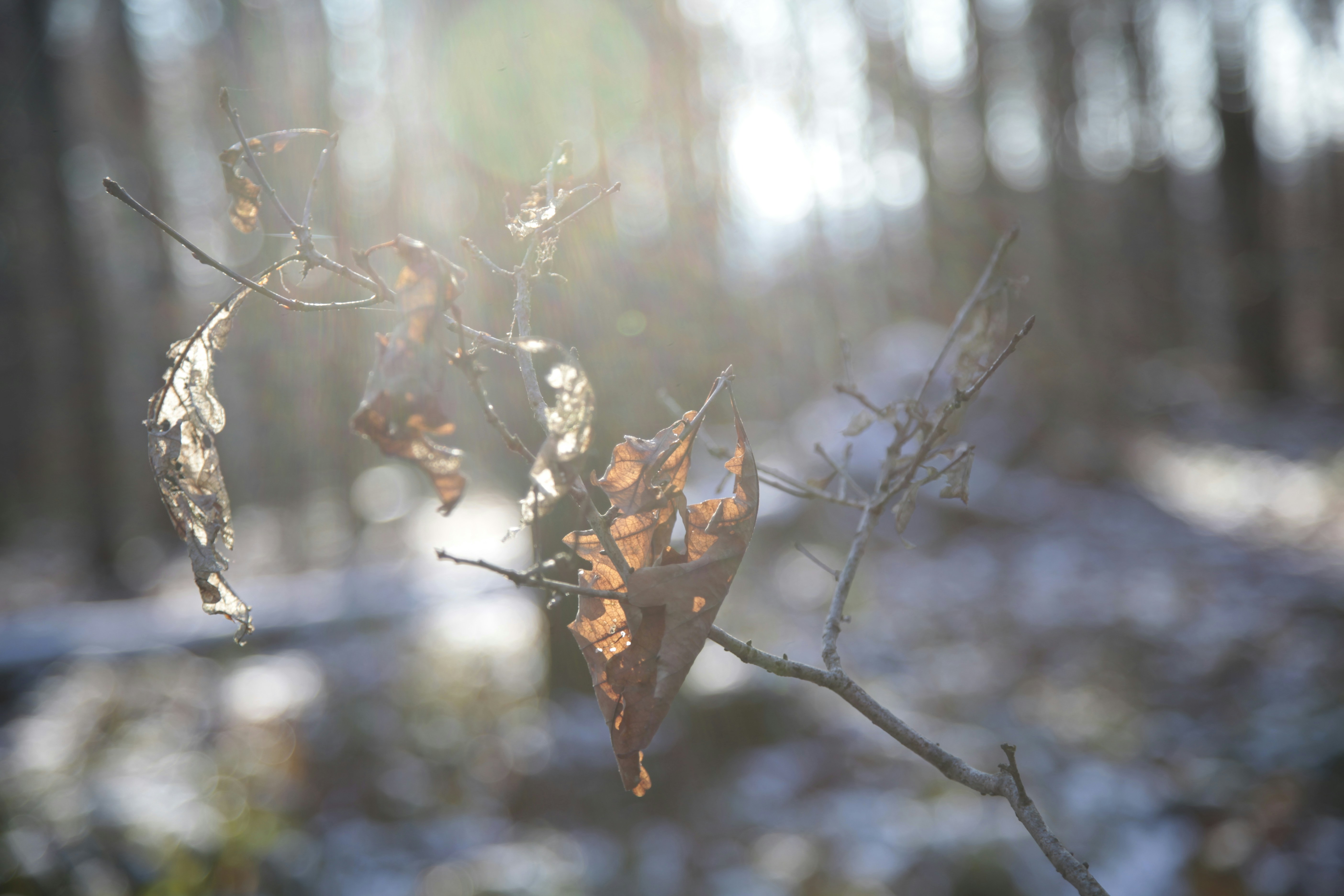 Photo by quadratmedia