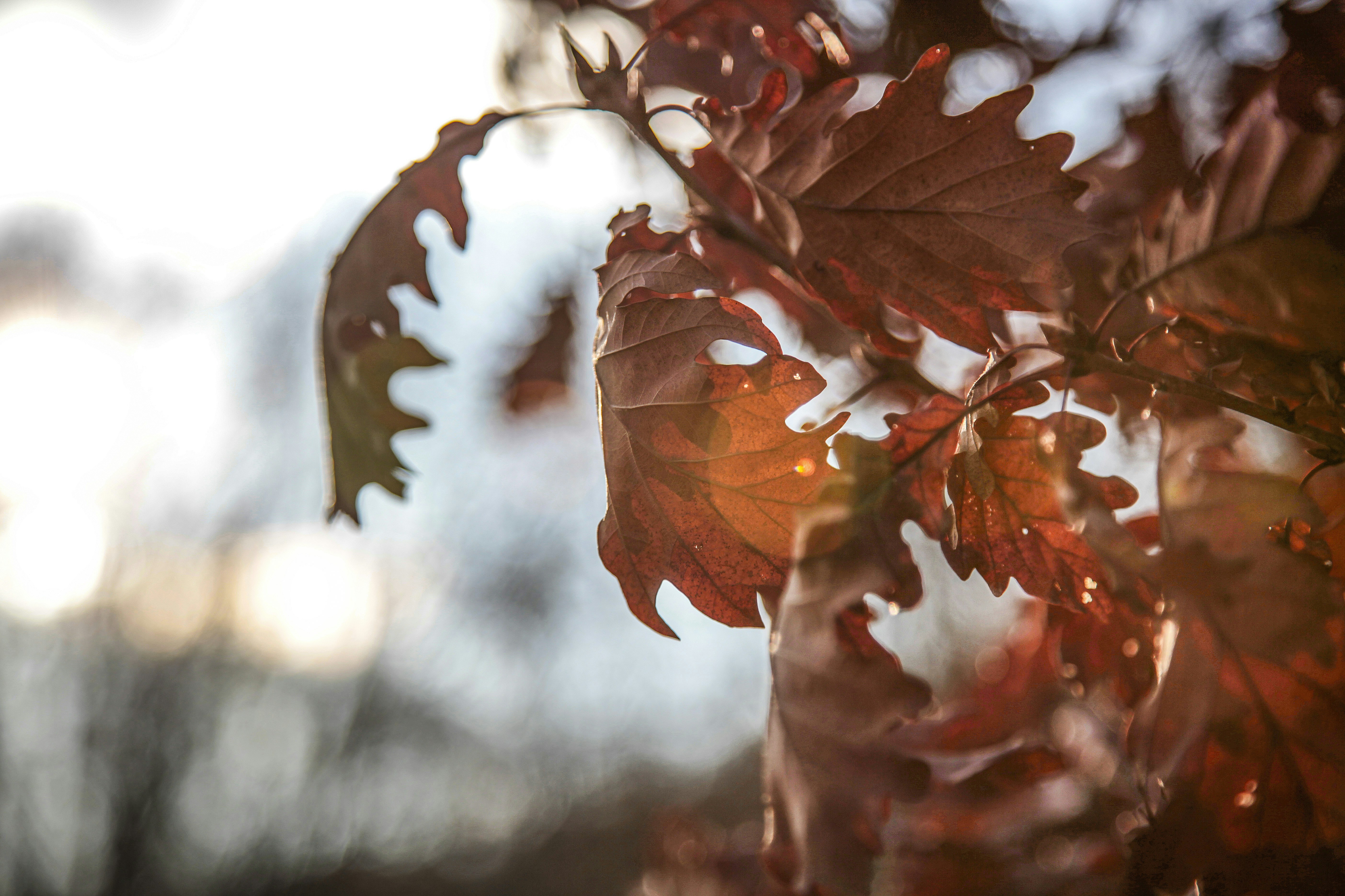 Photo by quadratmedia