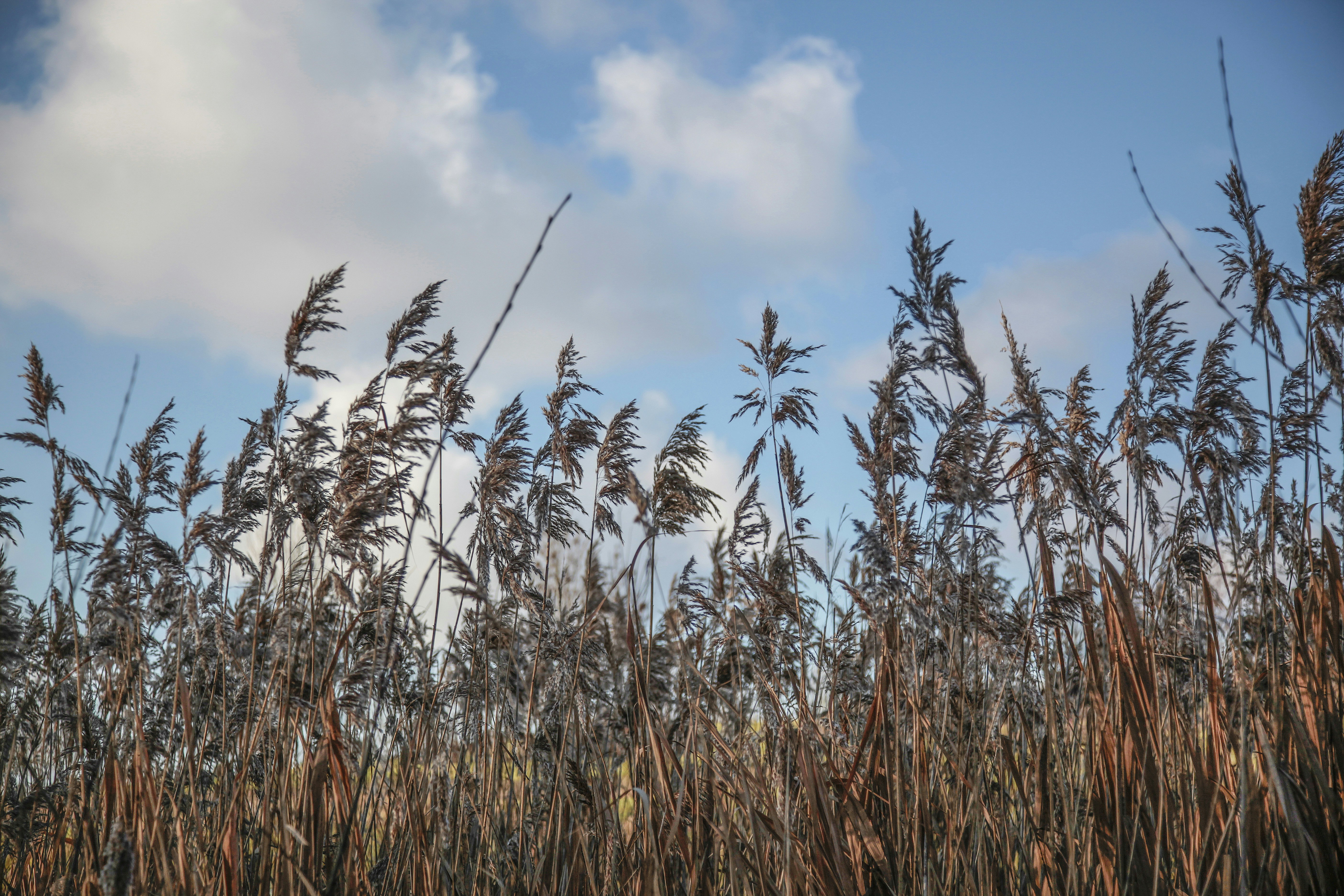 Photo by quadratmedia