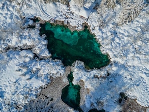 aerial view of green body of water