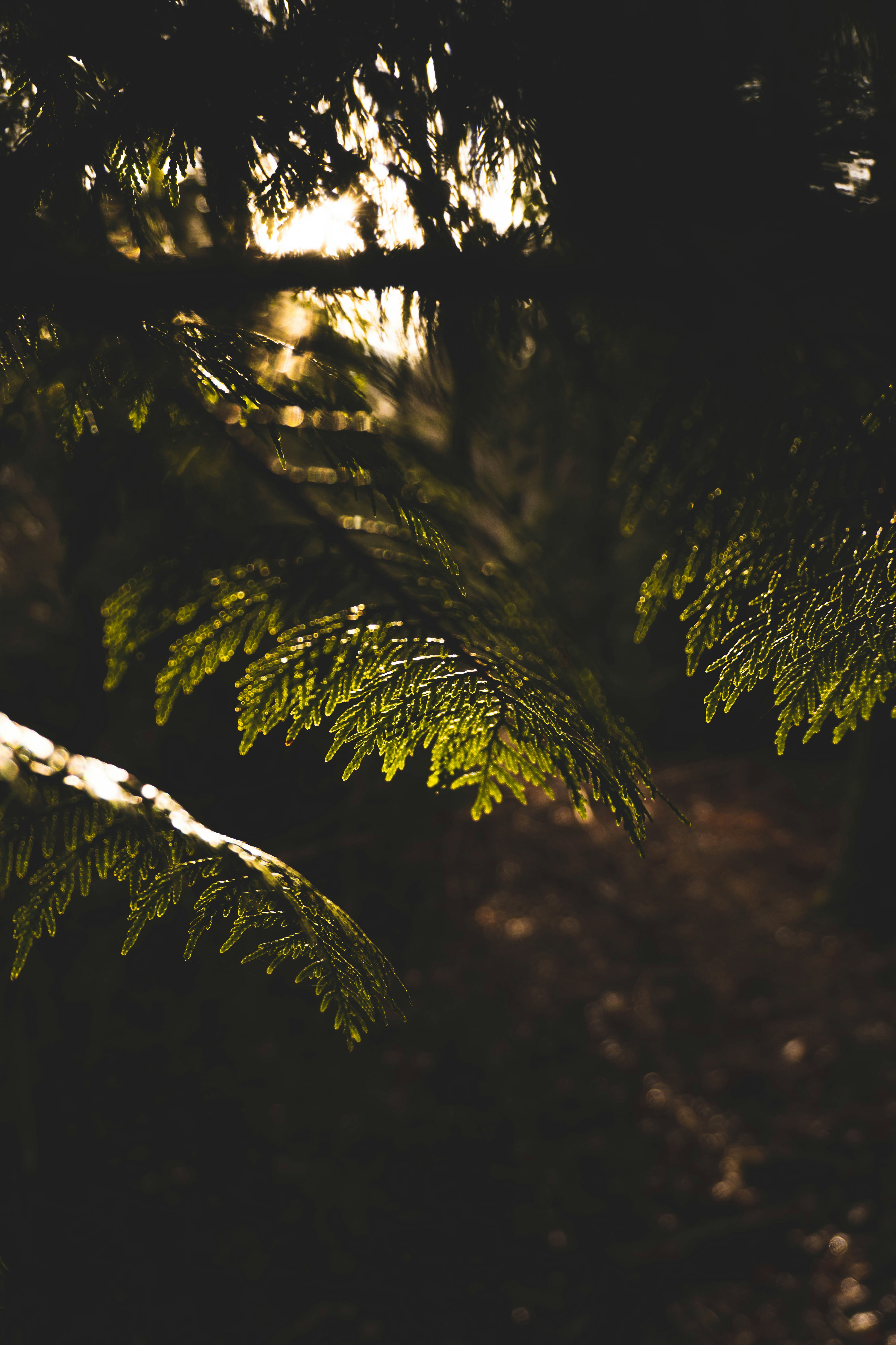 Photo by kylebushnell