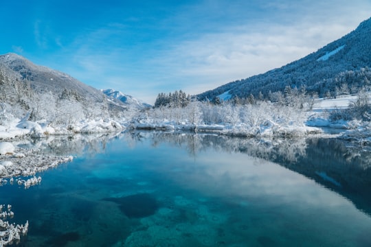 lake surrounded by trees and mountains under blue sky during daytime in Kranjska Gora Slovenia