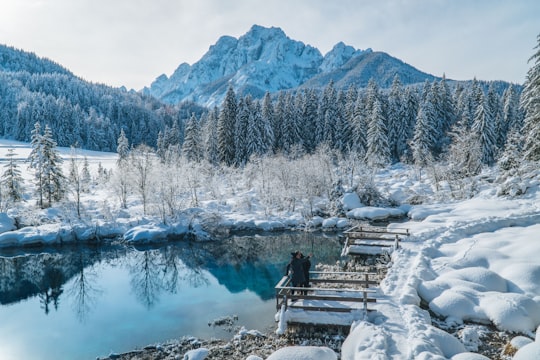 person sitting on bench near lake during daytime in Kranjska Gora Slovenia