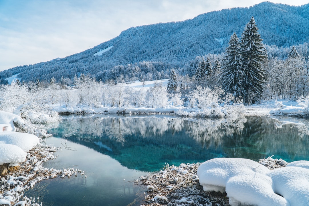 Flee the Heat: Charming American Summer Havens Transformed into Magical Winter Wonderlands