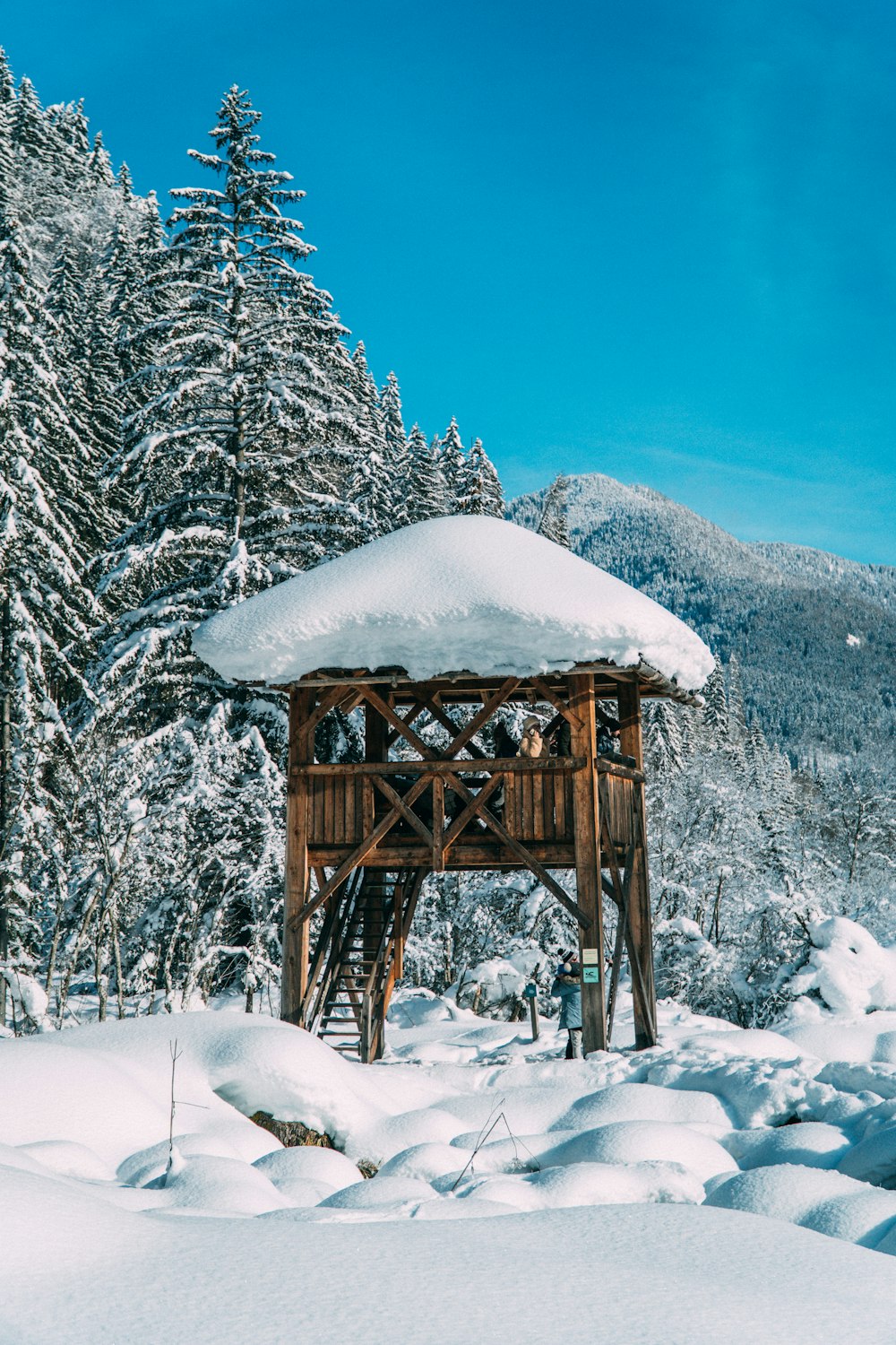 Braunes Holzhaus tagsüber mit Schnee in der Nähe von Bäumen bedeckt