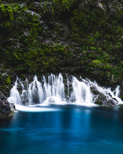 Tamolitch Falls - Dari Blue Pool, United States