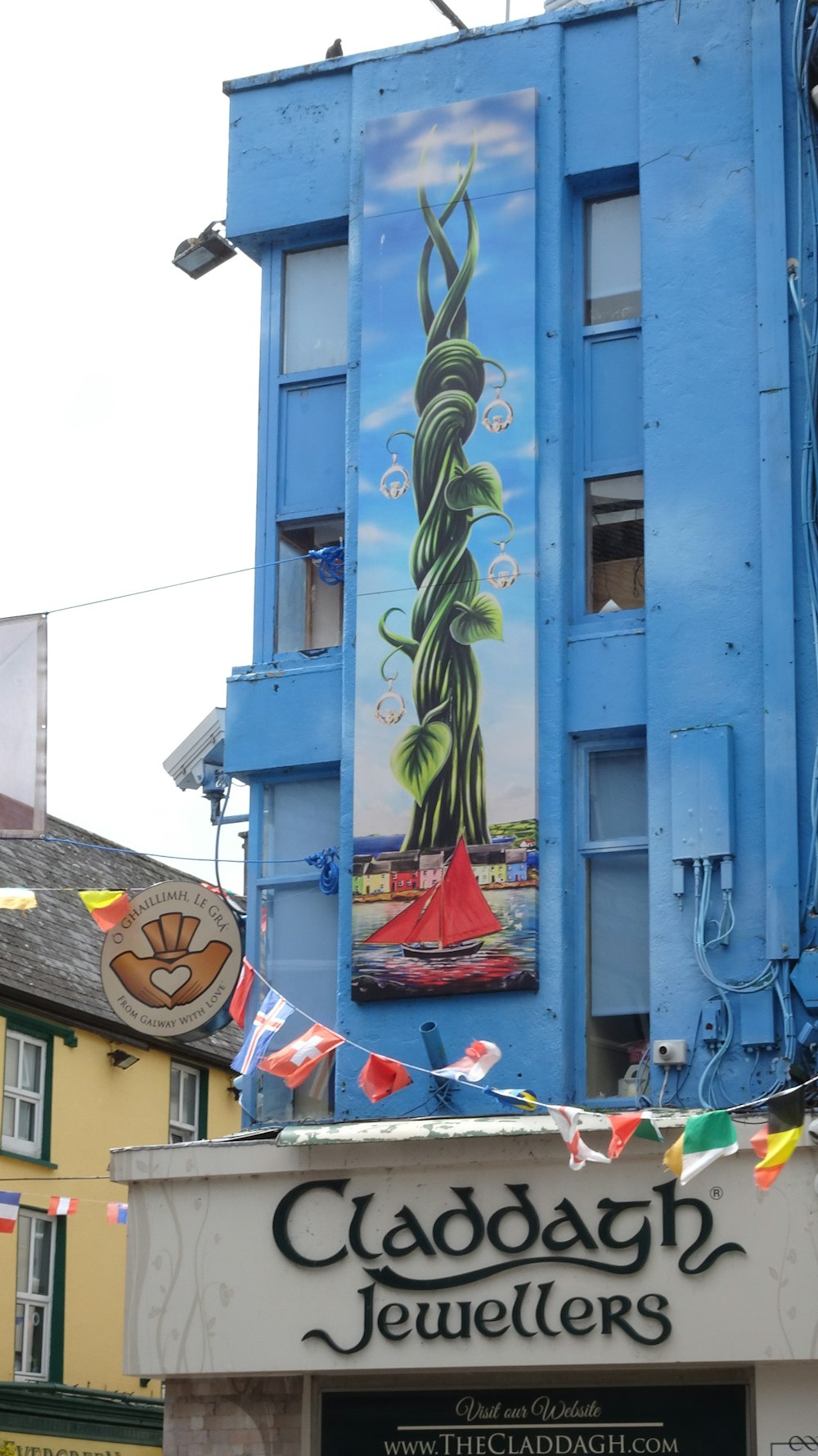 green palm tree near blue concrete building during daytime