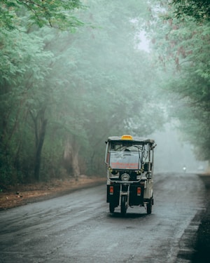 A single auto-rickshaw travels down an empty road surrounded by lush green trees, with a misty atmosphere creating a serene and isolated setting.