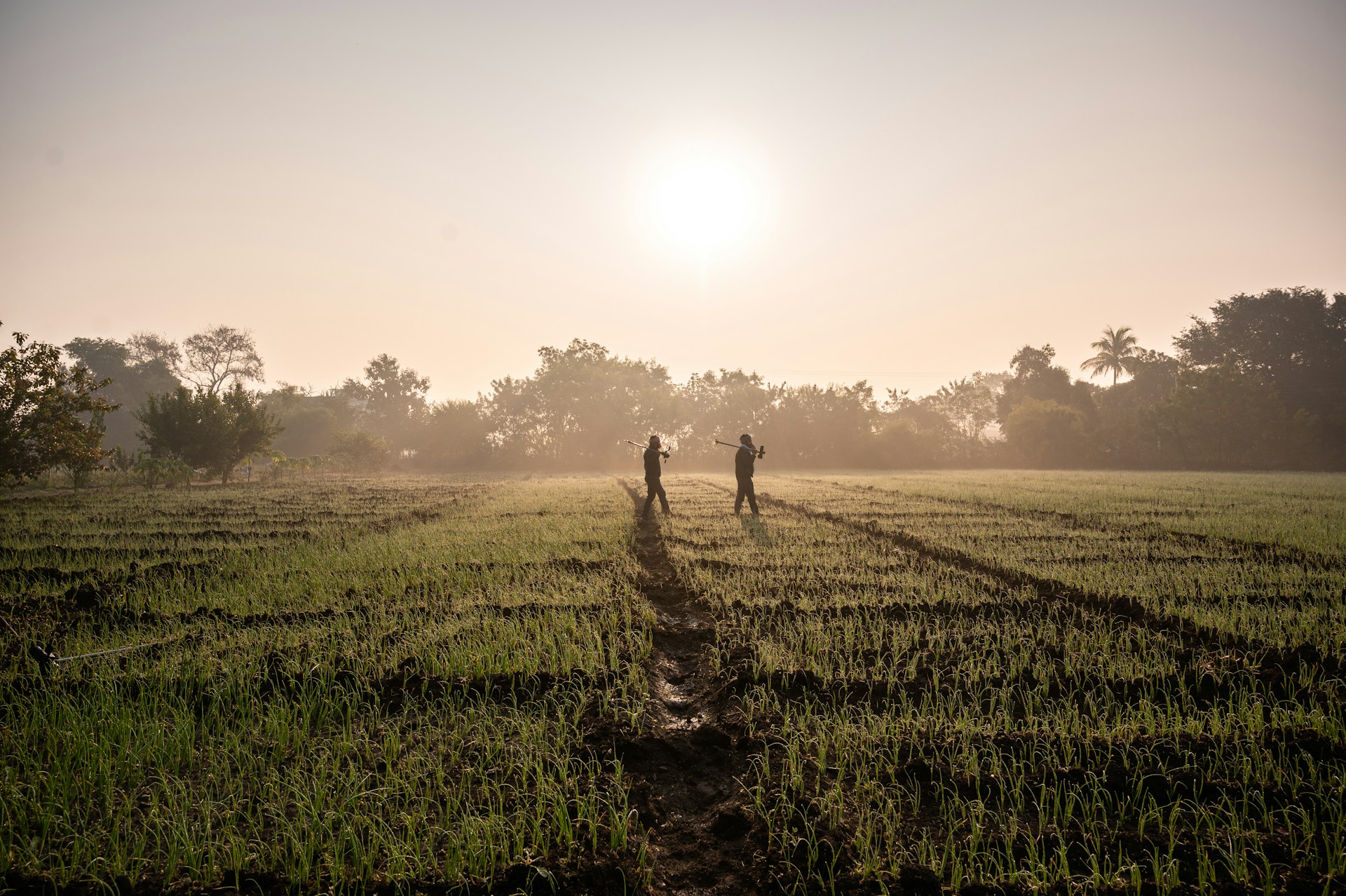 silhouette of 2 person walking on green grass field during daytime