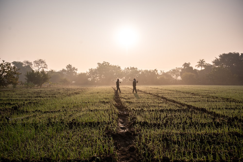 silhouette of 2 person walking on green grass field during daytime