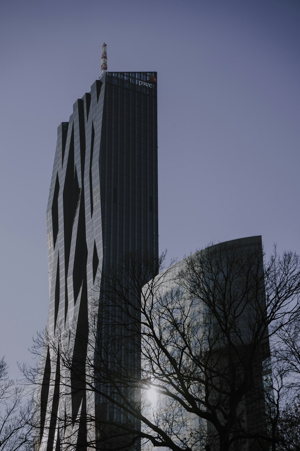 black bare trees beside high rise building
