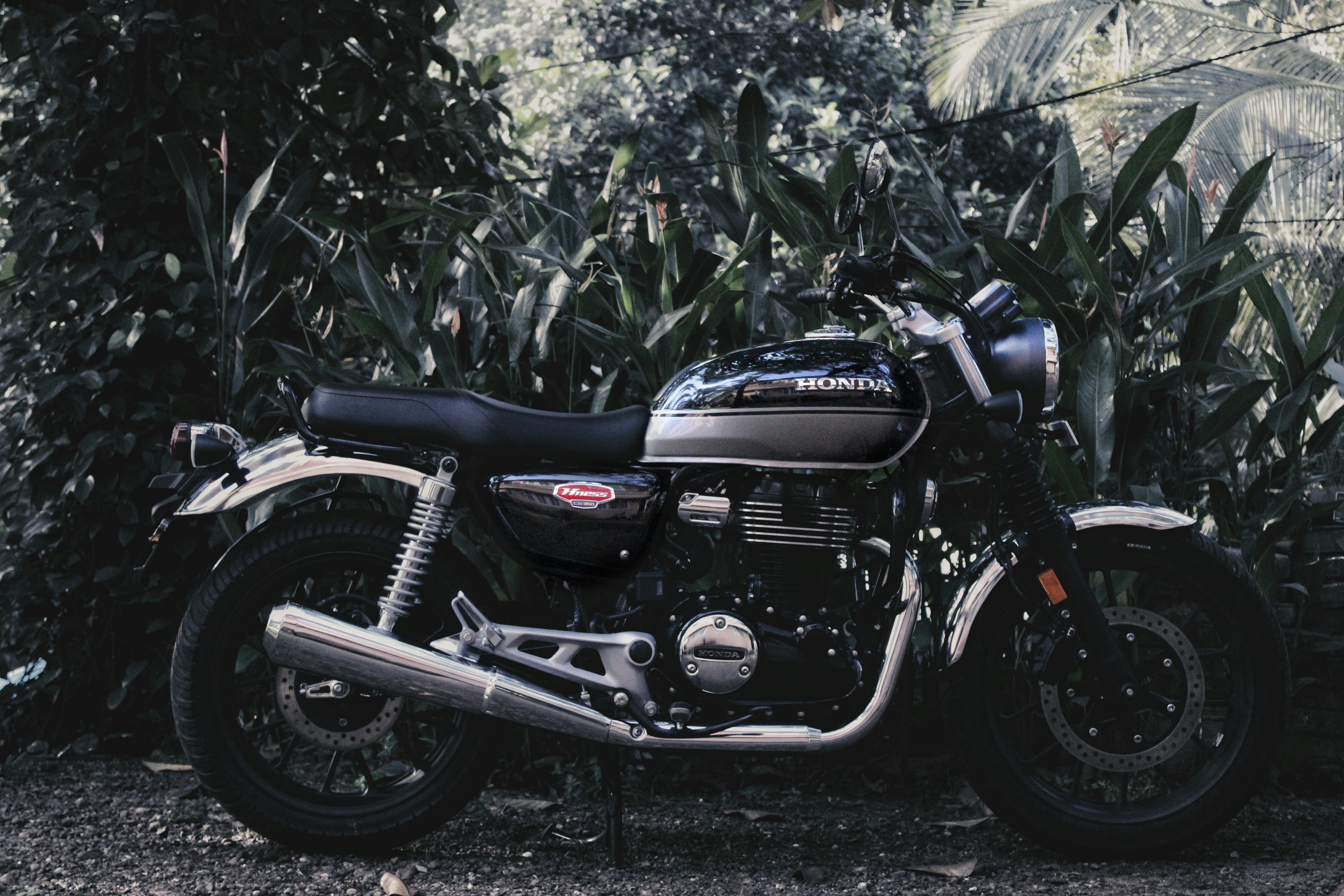 Photo by emmanual_lonewolf