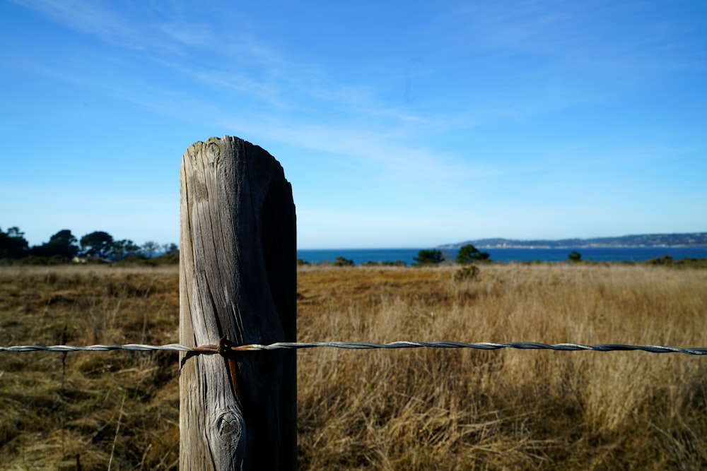 recinzione di legno marrone sul campo di erba marrone sotto il cielo blu durante il giorno