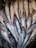 A pile of fresh fish with shiny, silver scales and reddish heads. The fish are closely packed together, and their distinct eyes and streamlined bodies are clearly visible, suggesting they are likely a type of herring or similar fish.