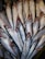 A pile of fresh fish with shiny, silver scales and reddish heads. The fish are closely packed together, and their distinct eyes and streamlined bodies are clearly visible, suggesting they are likely a type of herring or similar fish.