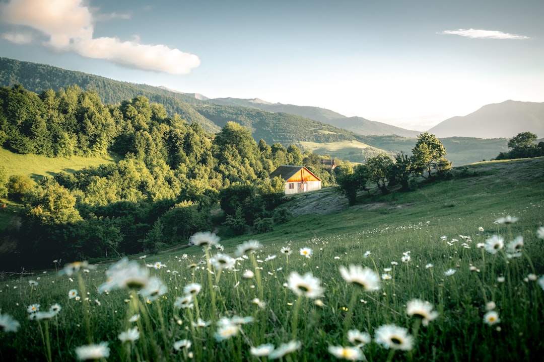 photo of Debet Ecoregion near Stepanavan Dendropark