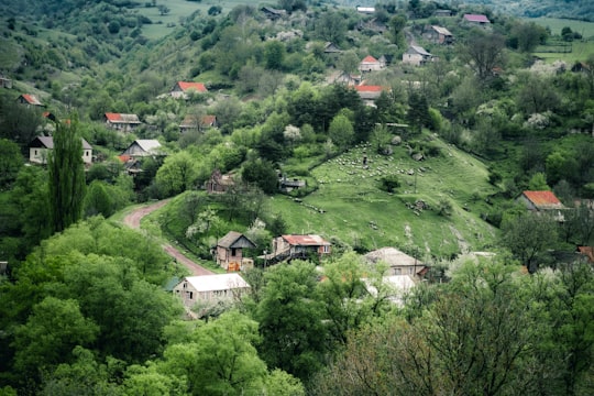 white and brown houses on green grass field during daytime in Debet Armenia