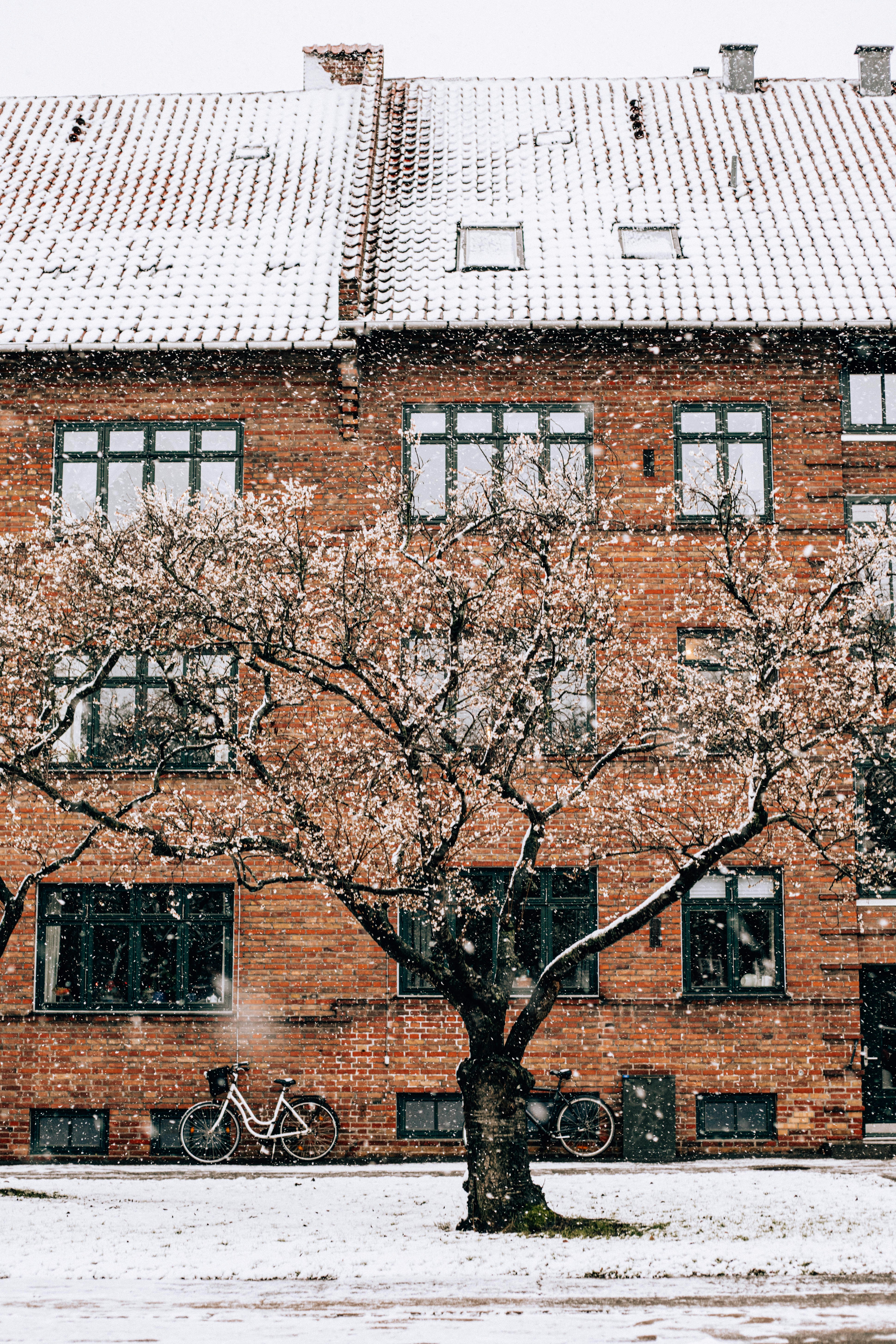 Photo by silasvanovereem