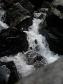 Close-up of a waterfall cascading over mossy rocks in the early morning light.