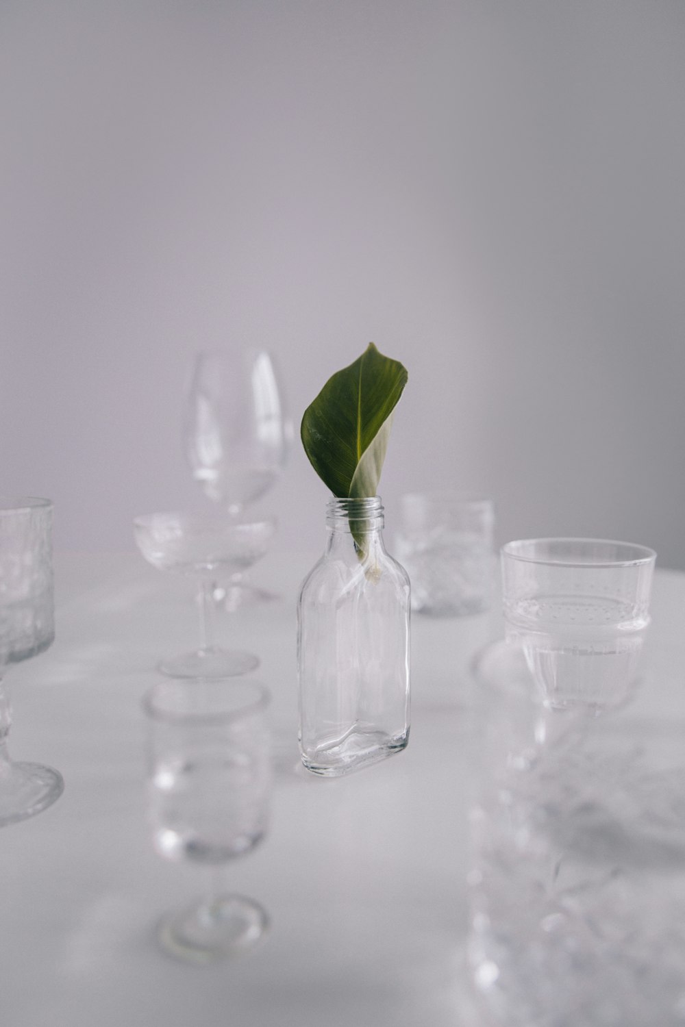 Botella de vidrio transparente con planta verde
