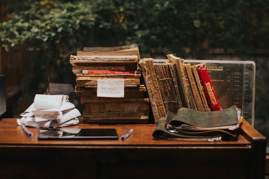 Stacks of weathered notebooks and pressed herbs spread across a wooden table, bathed in soft natural light.