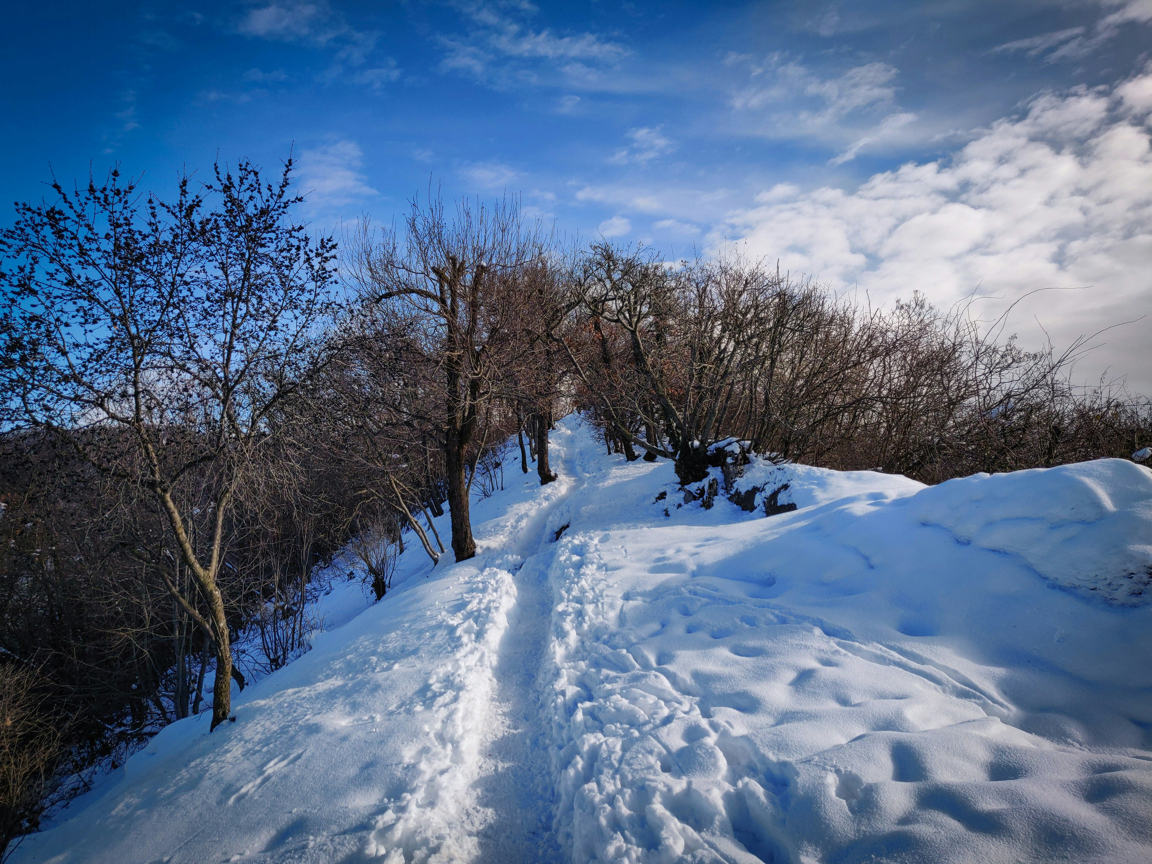 Photo by albertobigoni