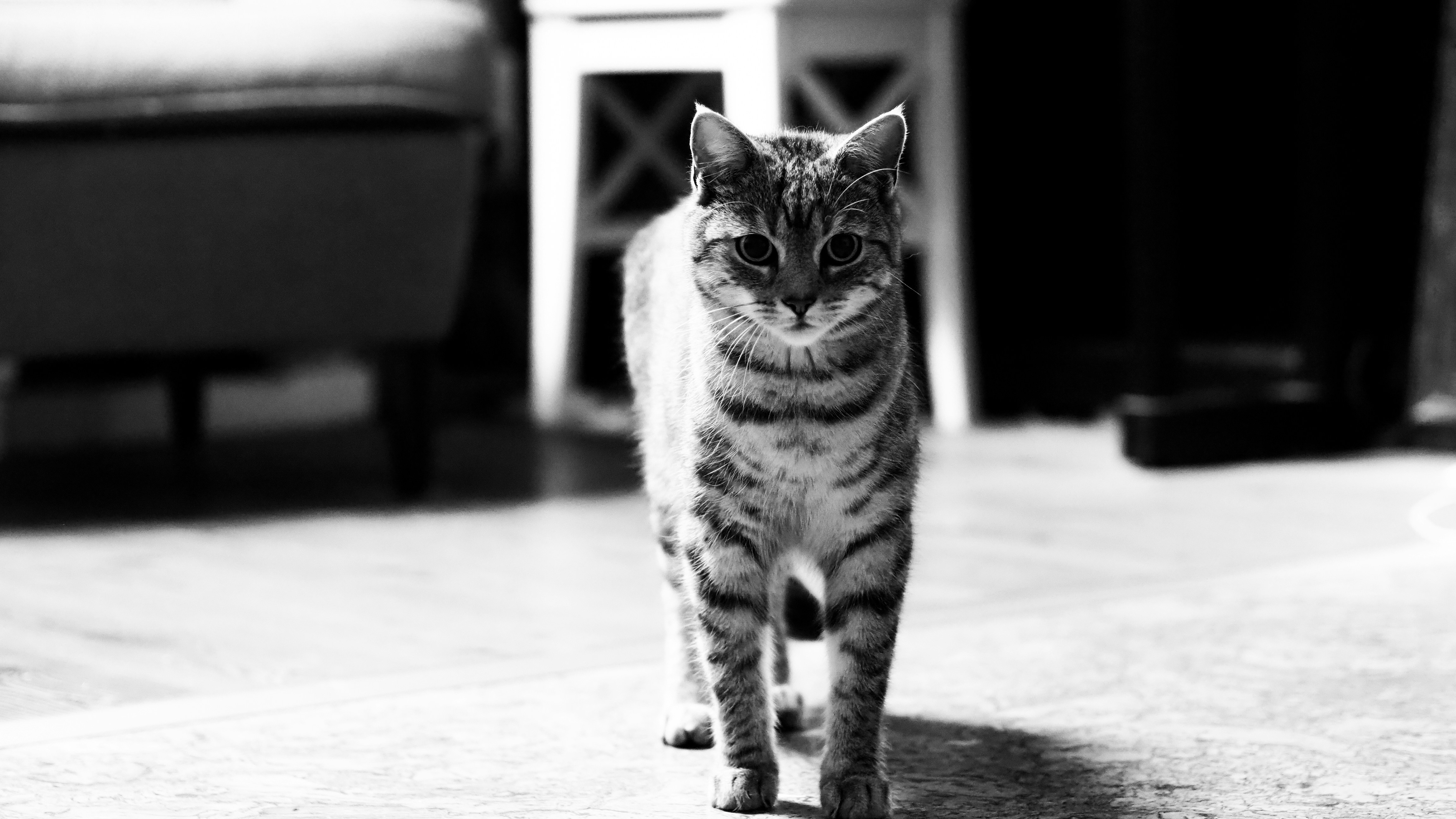 Photo by laurachouette