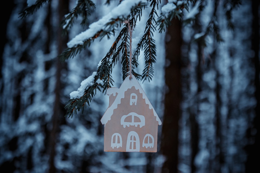 red stop sign on snow covered pine tree