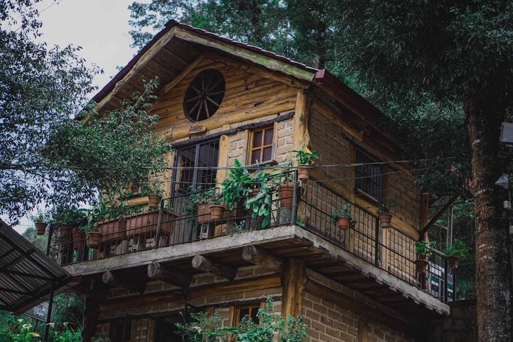 brown wooden house with green plants