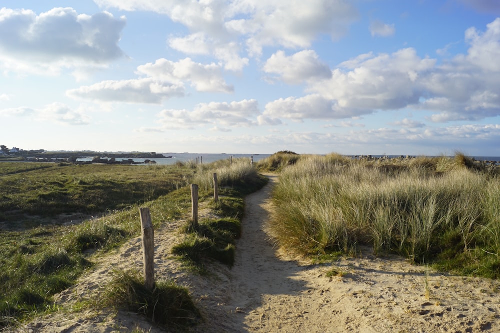 brown wooden fence on brown sand under blue sky during daytime