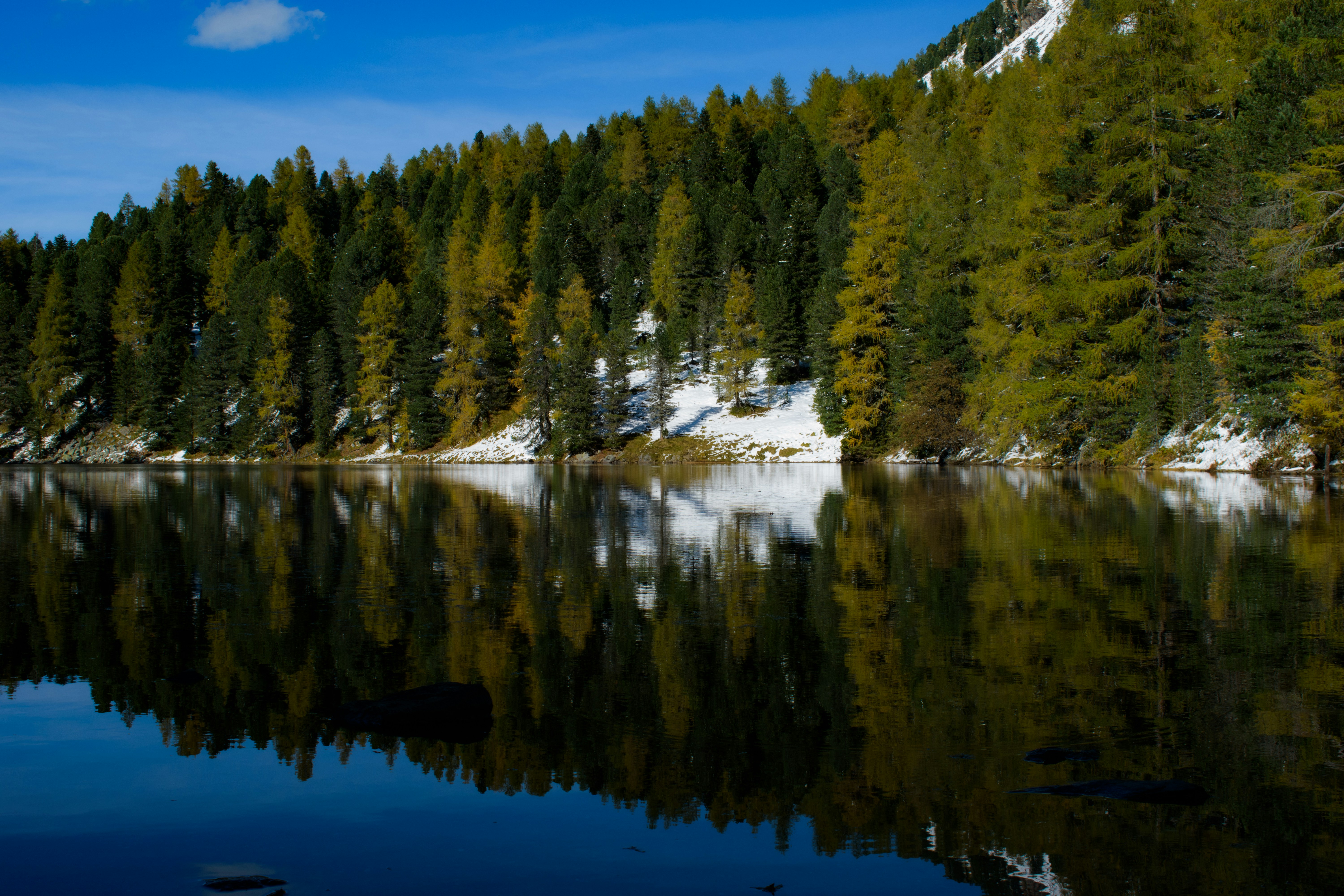 Photo by mmgphotograph