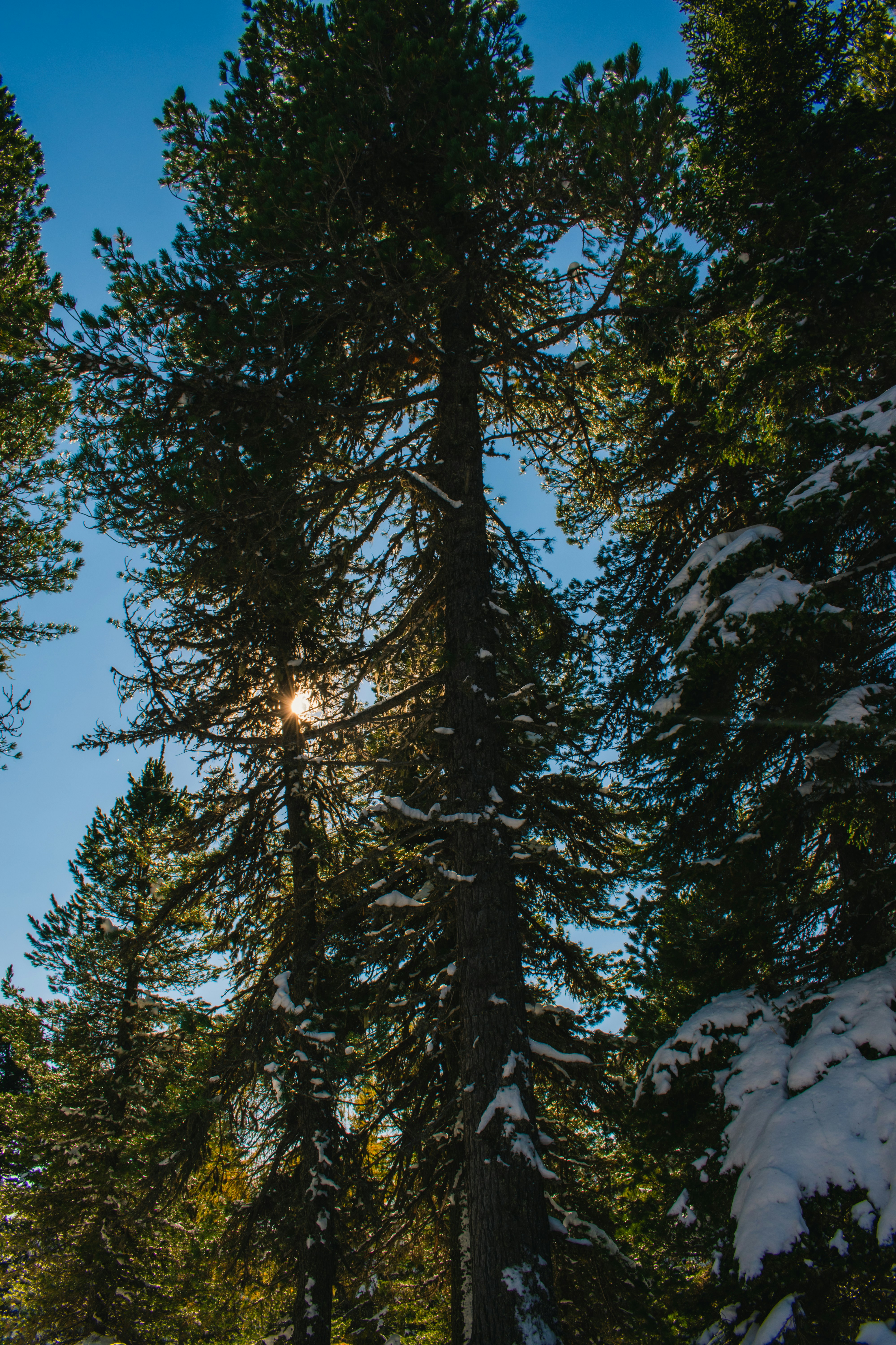 Photo by mmgphotograph