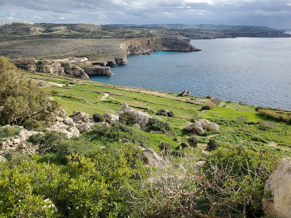 green grass field near body of water during daytime