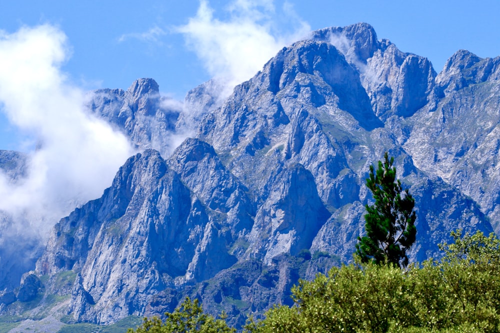 green trees near mountain under white clouds during daytime