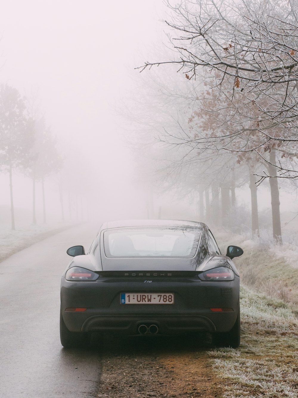 black car on road covered with fog
