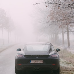 black car on road covered with fog