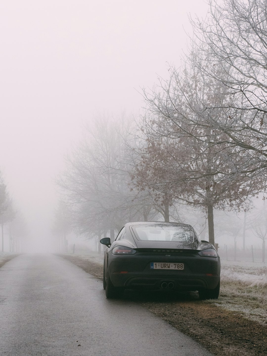 black car on road between bare trees