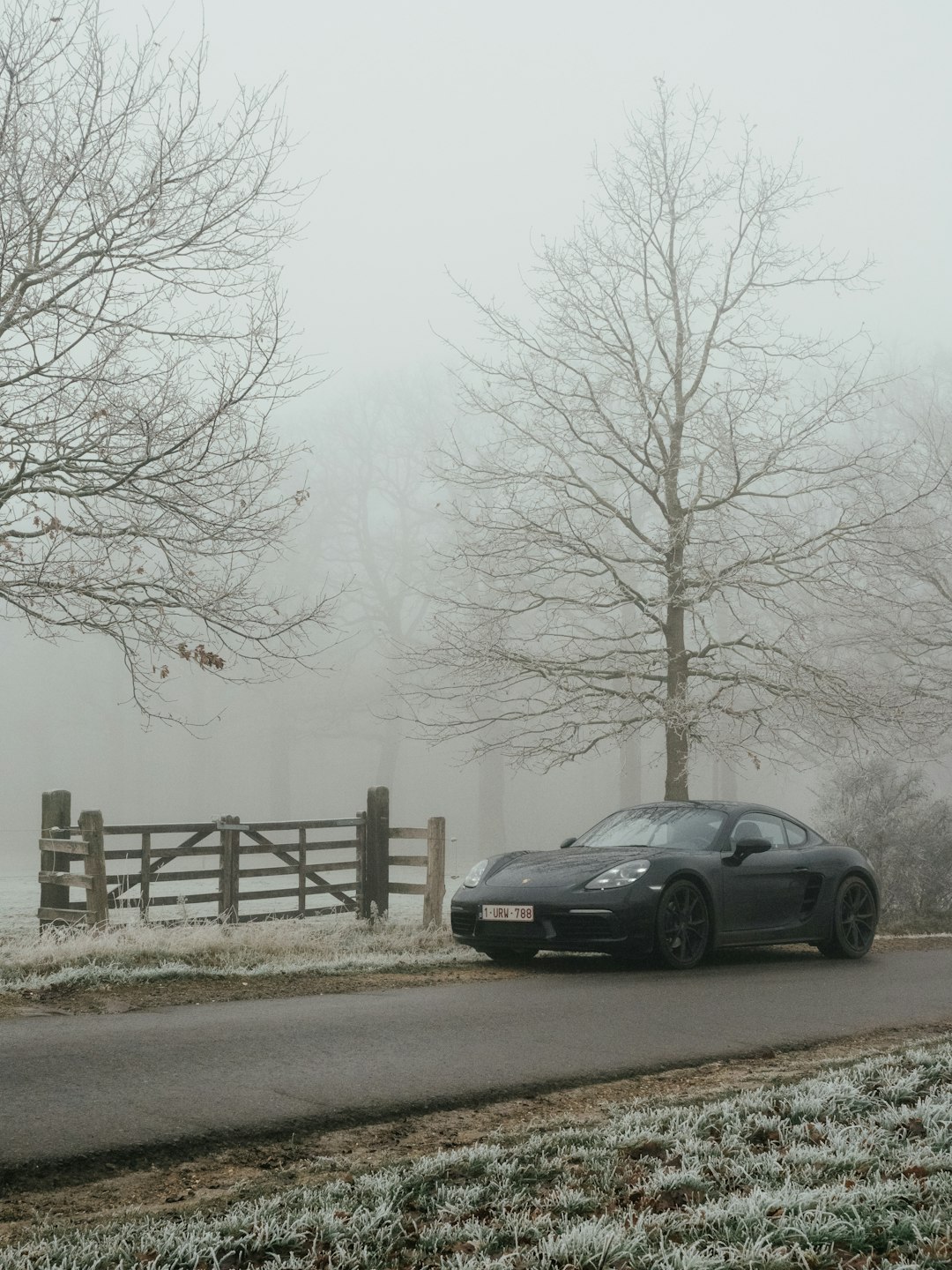 black sedan parked near brown wooden fence during foggy weather