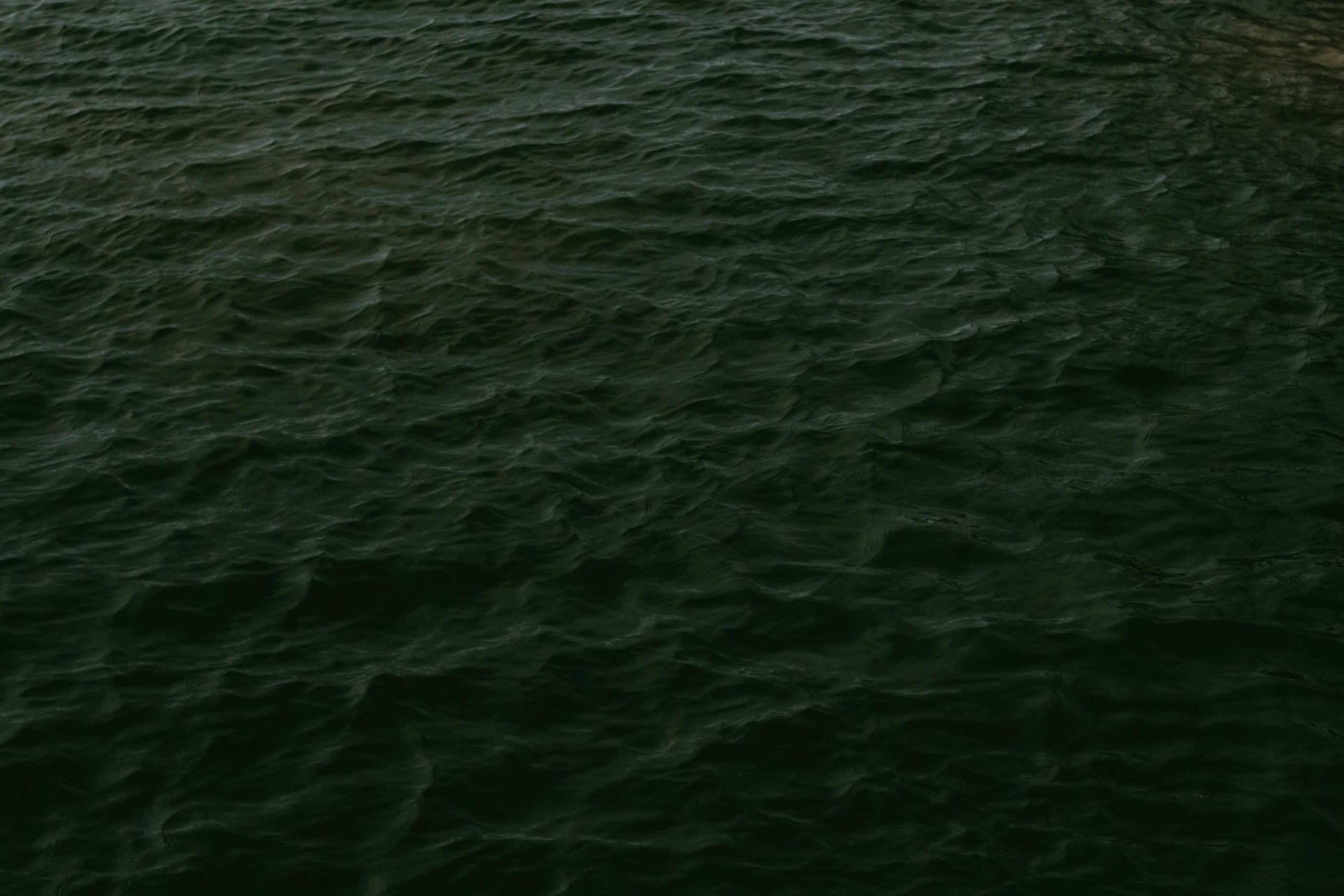 body of water during daytime