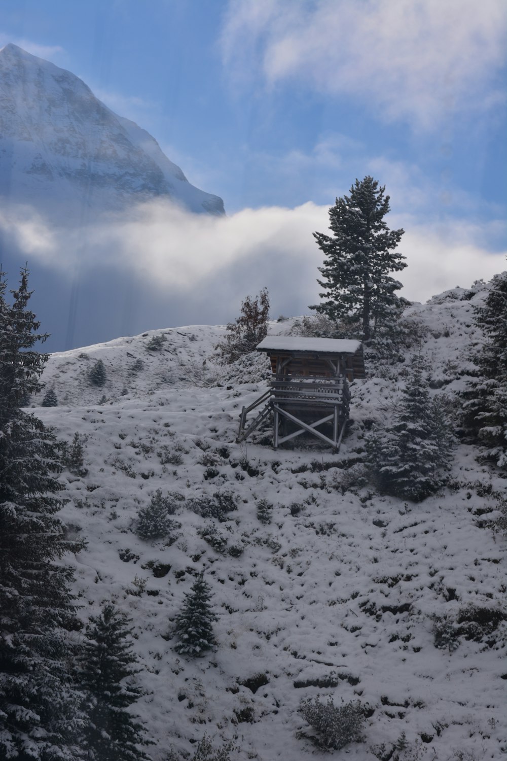 brown wooden house on snow covered ground near green trees and mountain during daytime