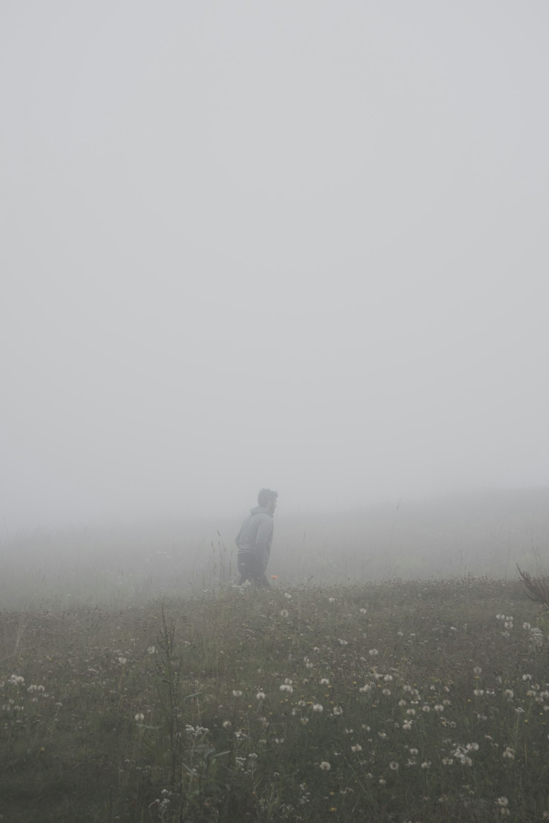person in green jacket standing on green grass field during foggy weather