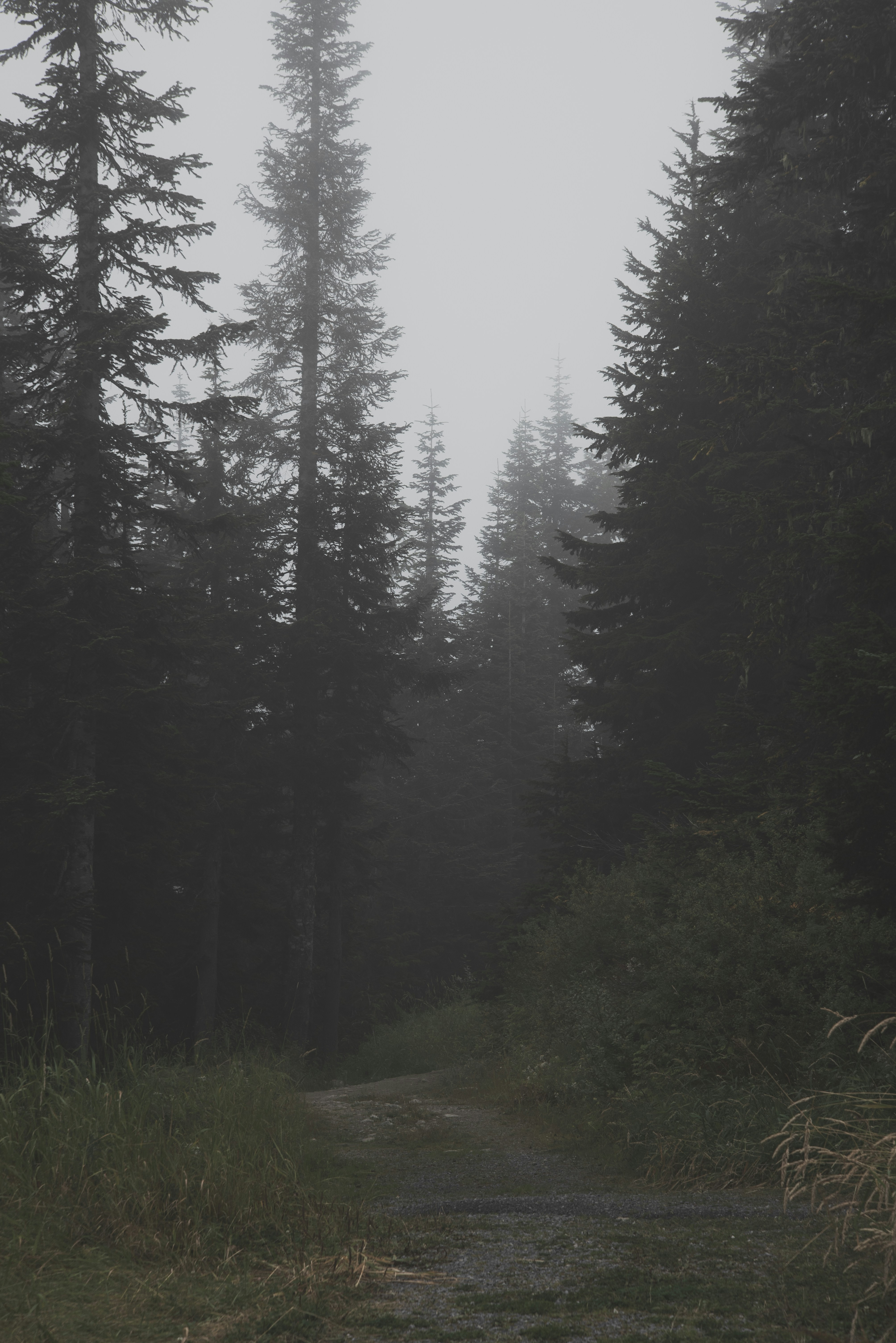 Photo by ryunosuke_kikuno