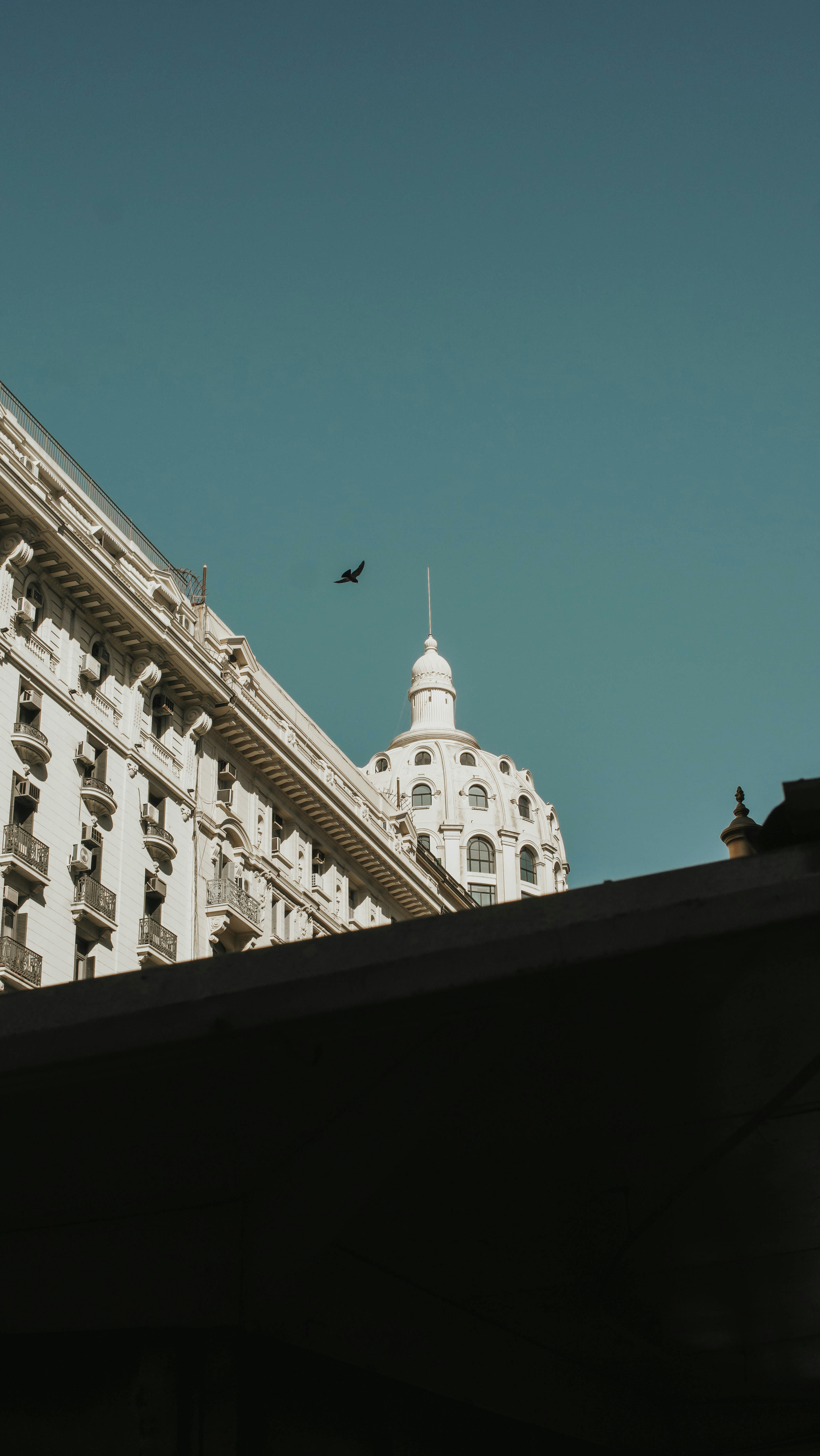 birds flying over white concrete building during daytime