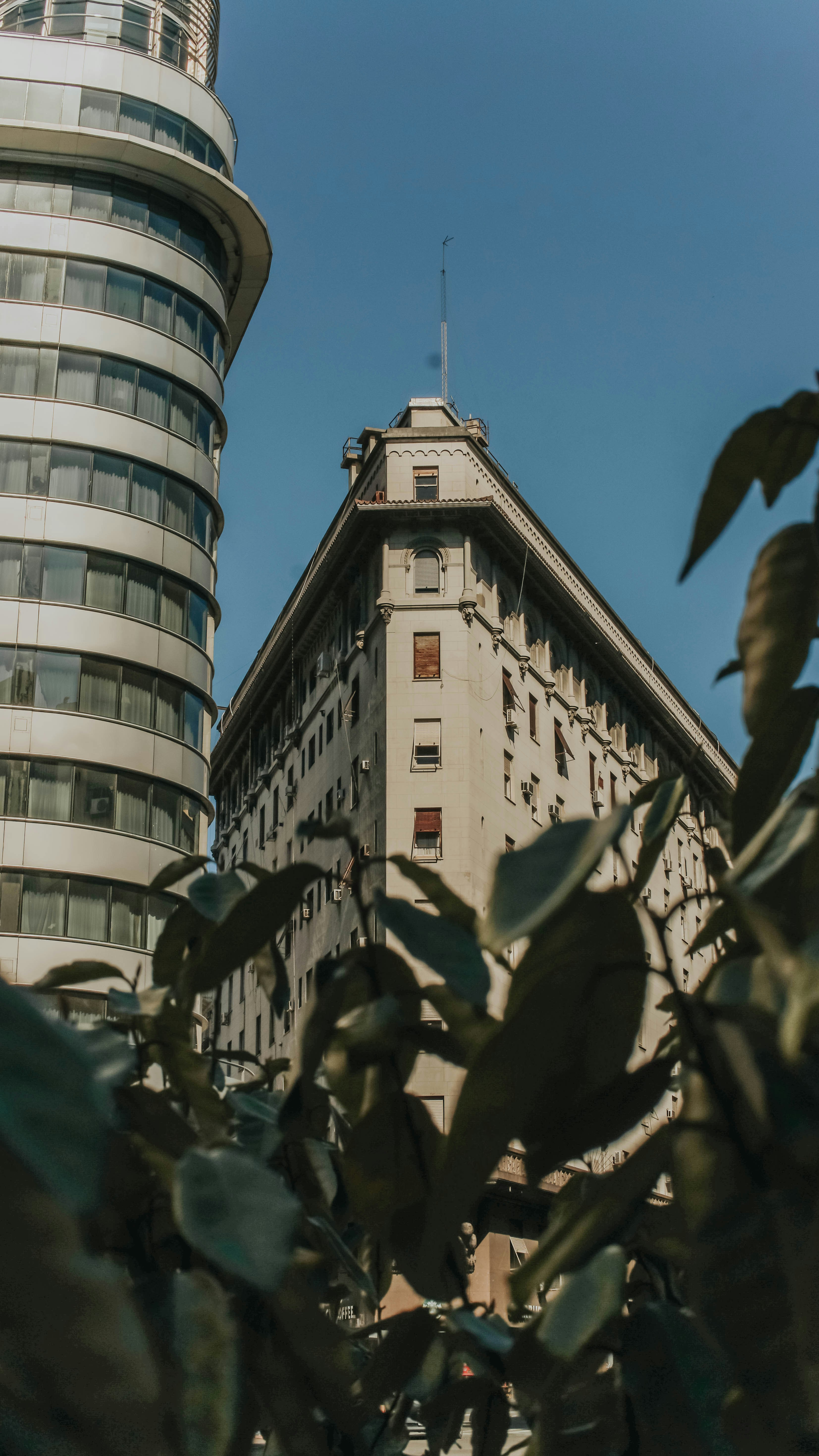 Photo by mirandanenee