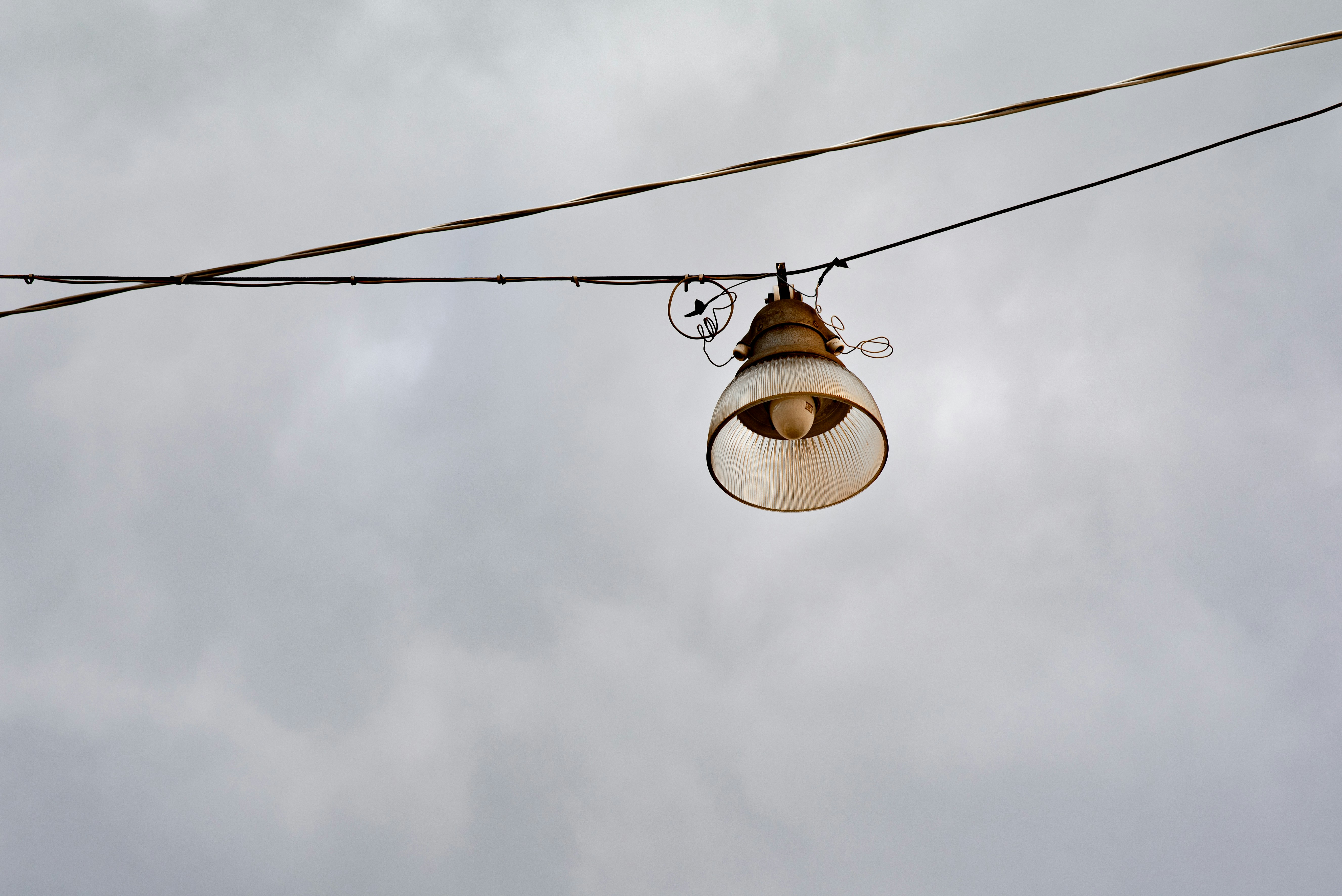 Photo by lauraadaiphoto